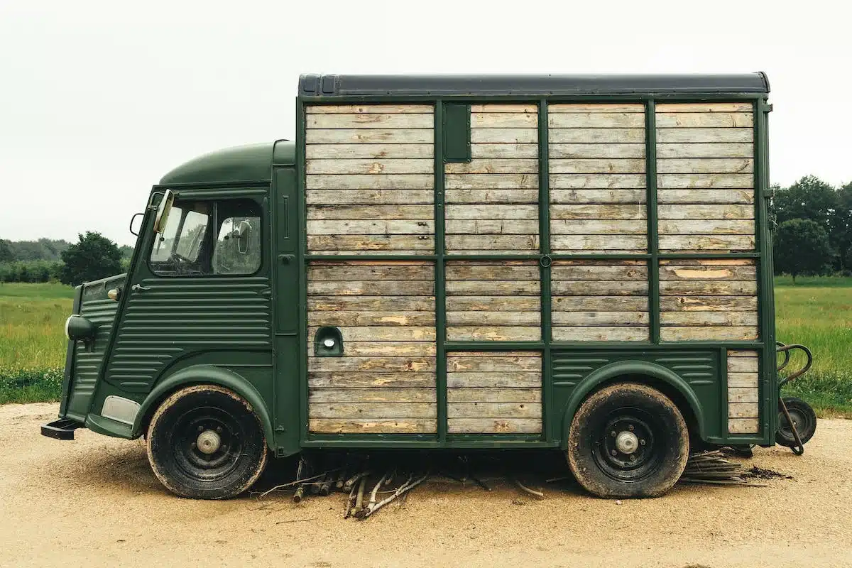 chevaux camion