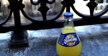 Le parcours innovant d'Orangina dans l'industrie des boissons