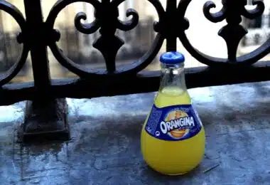 Le parcours innovant d'Orangina dans l'industrie des boissons