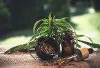 Comment acheter du CBD bénéfique pour votre santé ?