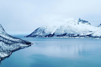 Découvrez l'Arctique à moindre coût : croisière pas cher dans les eaux glacées